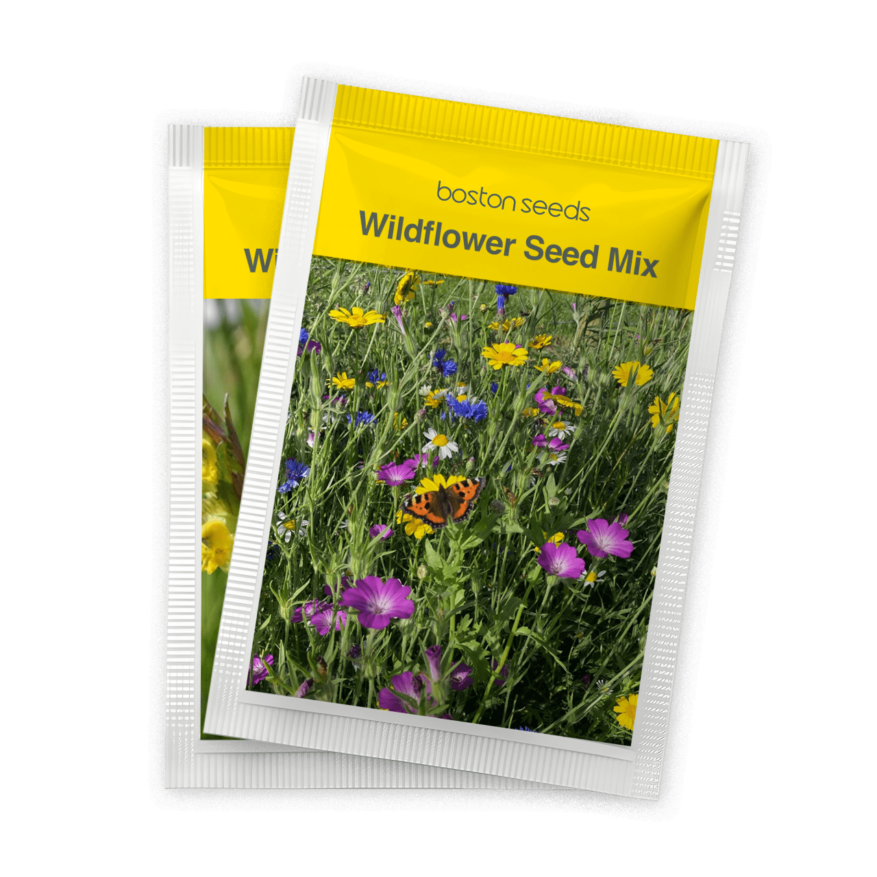 Seed packets from Boston Seeds